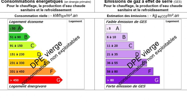 Pourquoi tant de DPE vierges ?